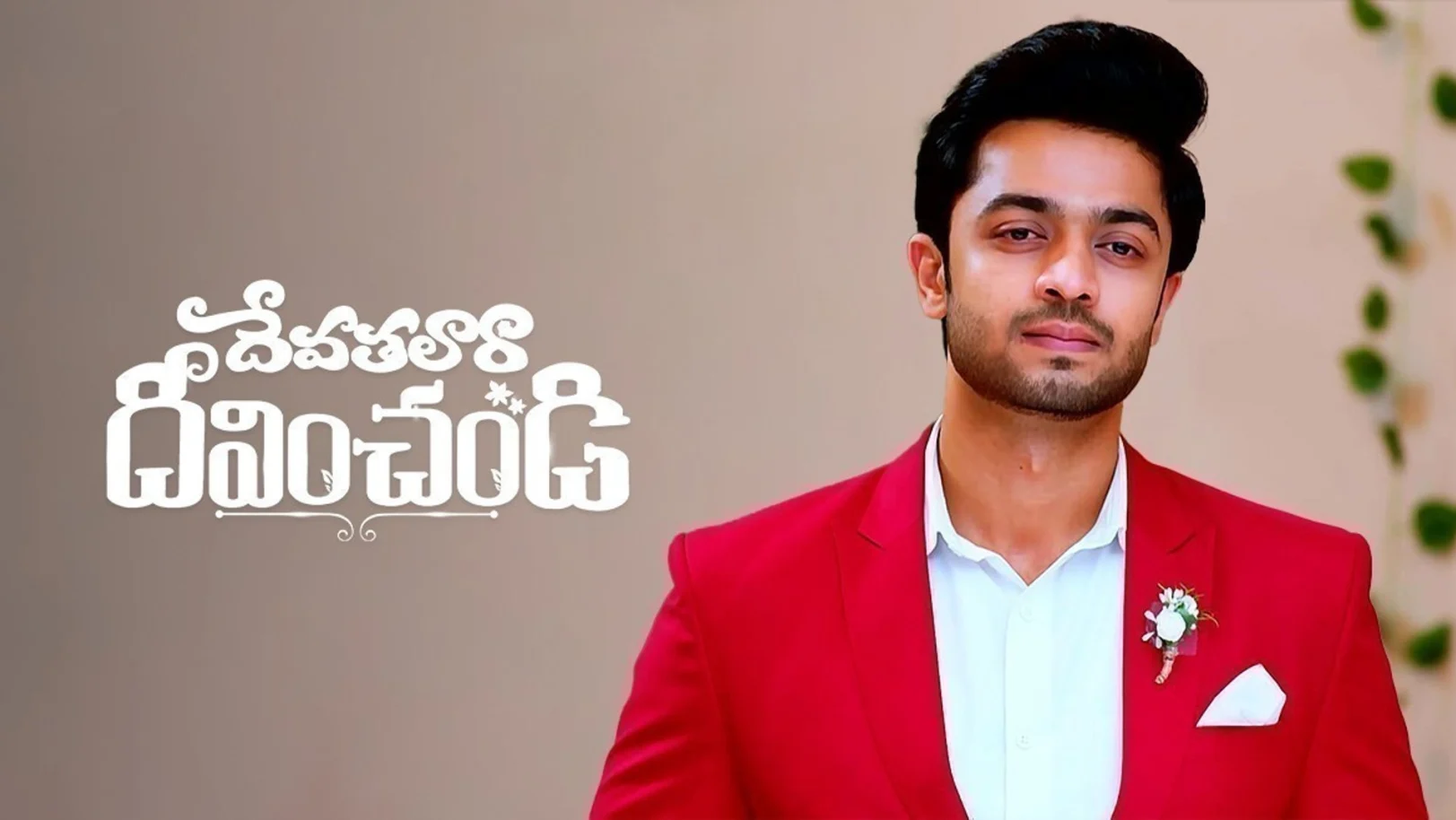 Devathalaara Deevinchandi TV Show