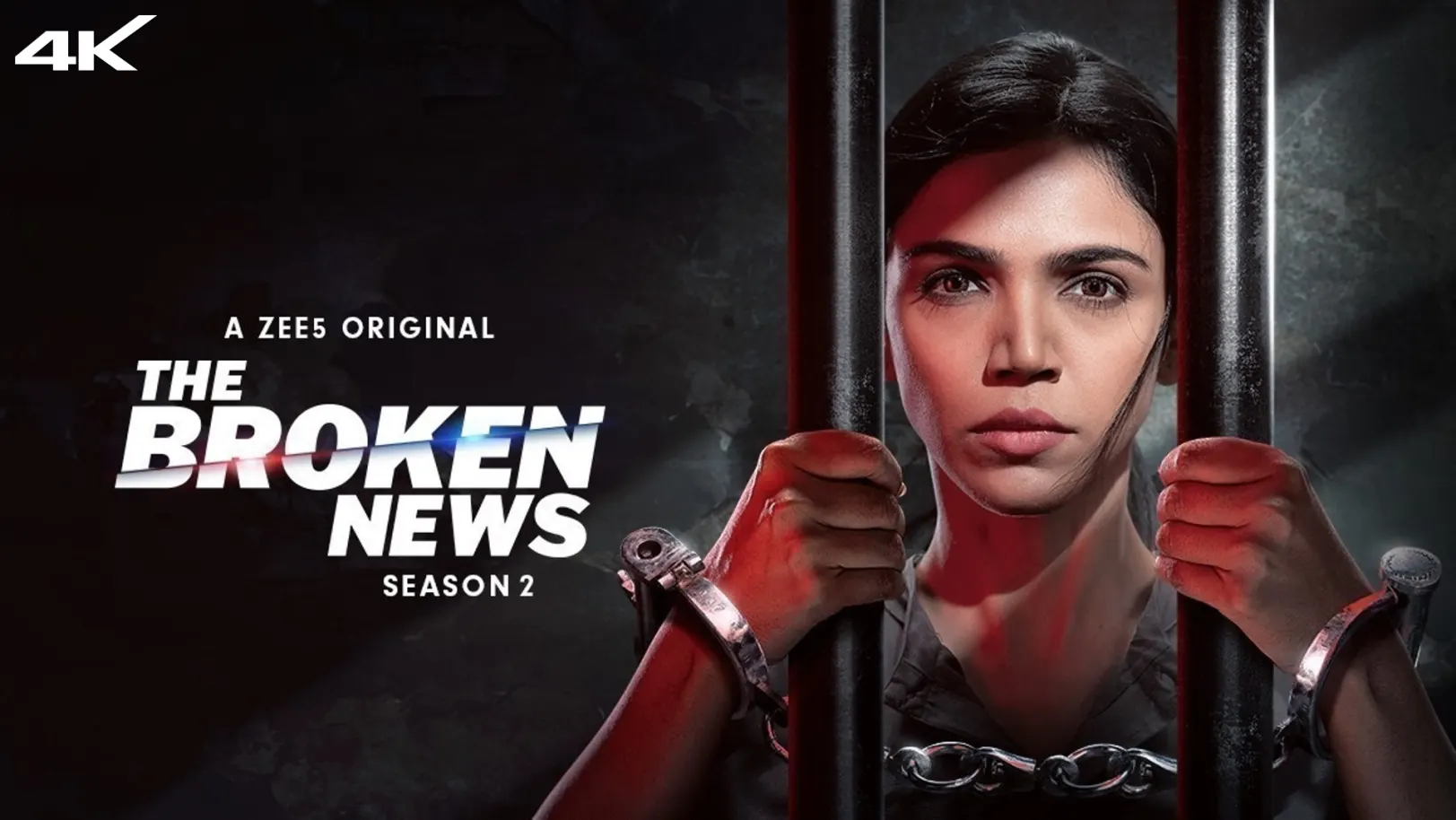 The Broken News Web Series