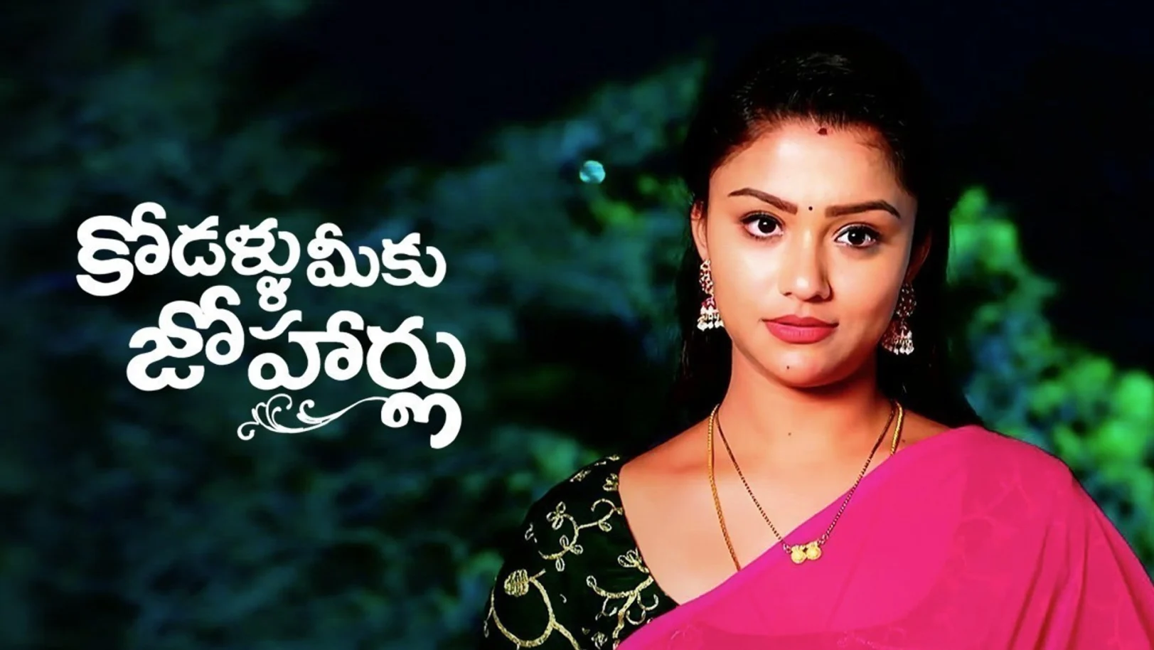 Kodallu Meeku Johaarlu TV Show