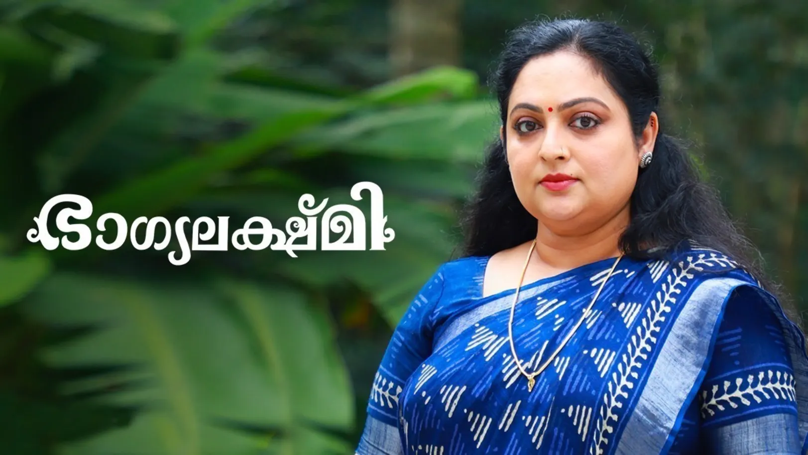 Bhagyalakshmi TV Show