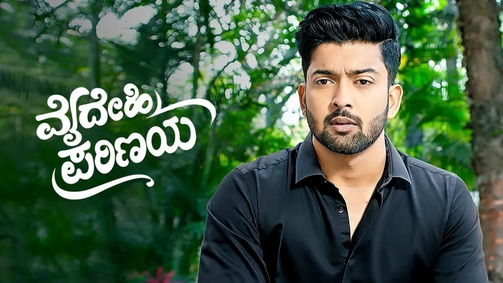 Vaidehi Parinaya TV Show
