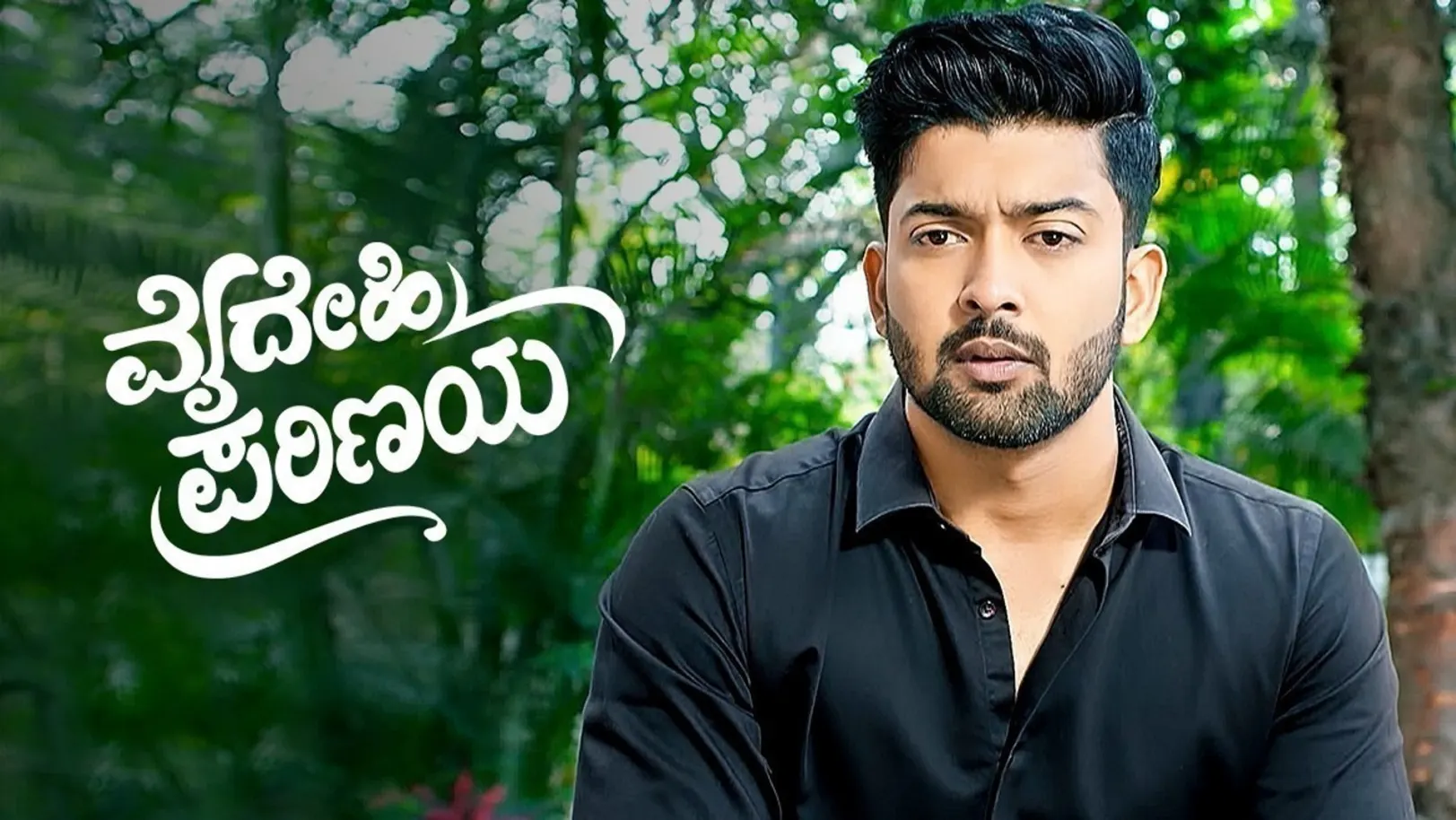 Vaidehi Parinaya TV Show