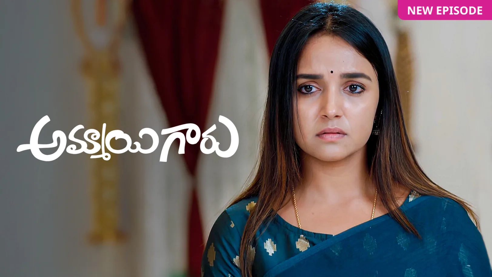 Ammayi Garu TV Show