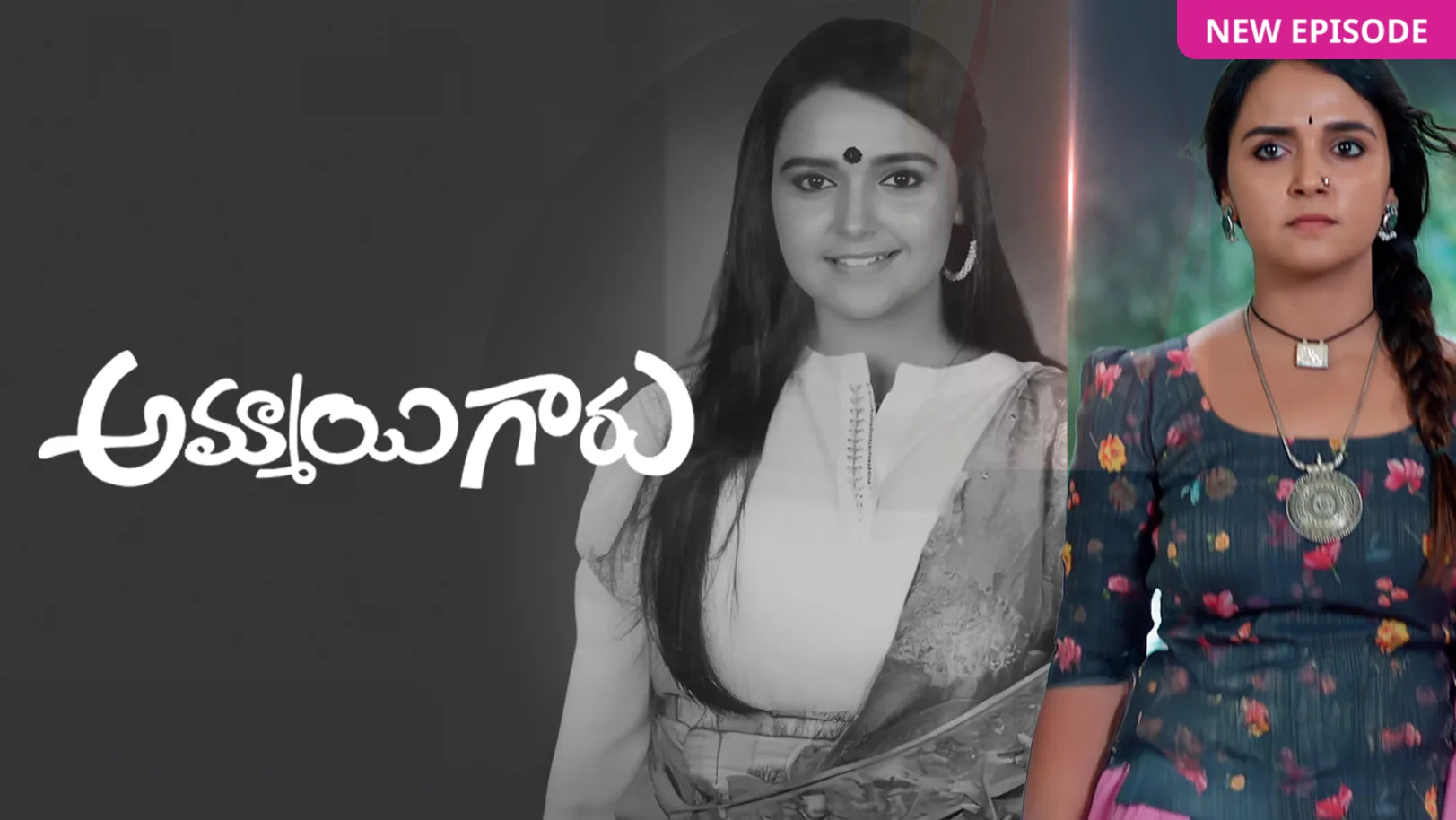 Ammayi Garu TV Show
