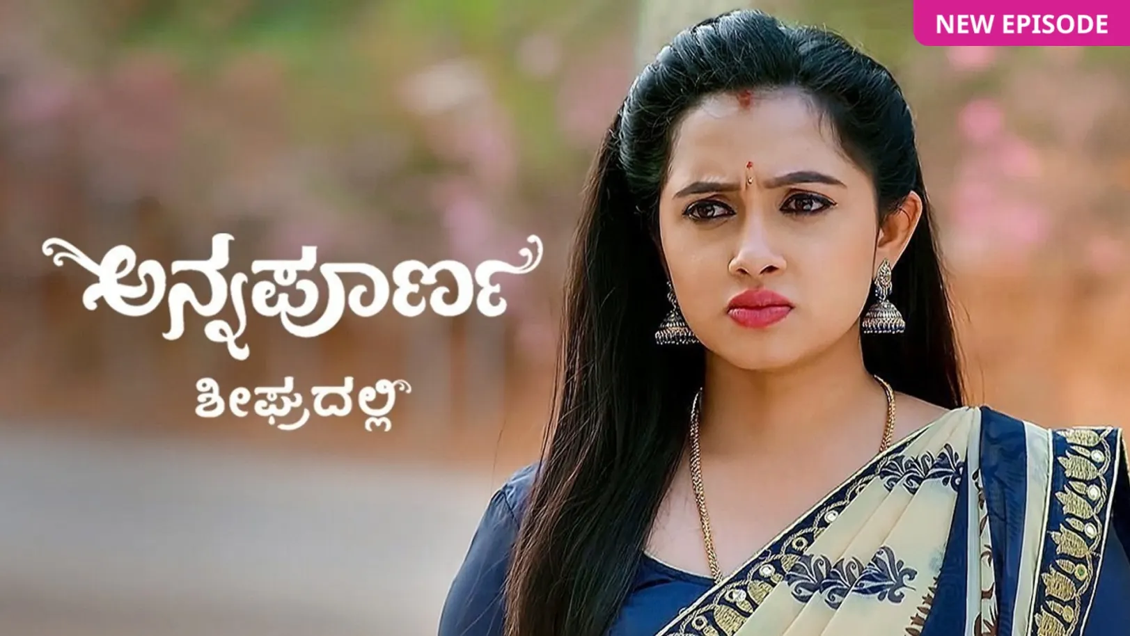 Annapoorna TV Show