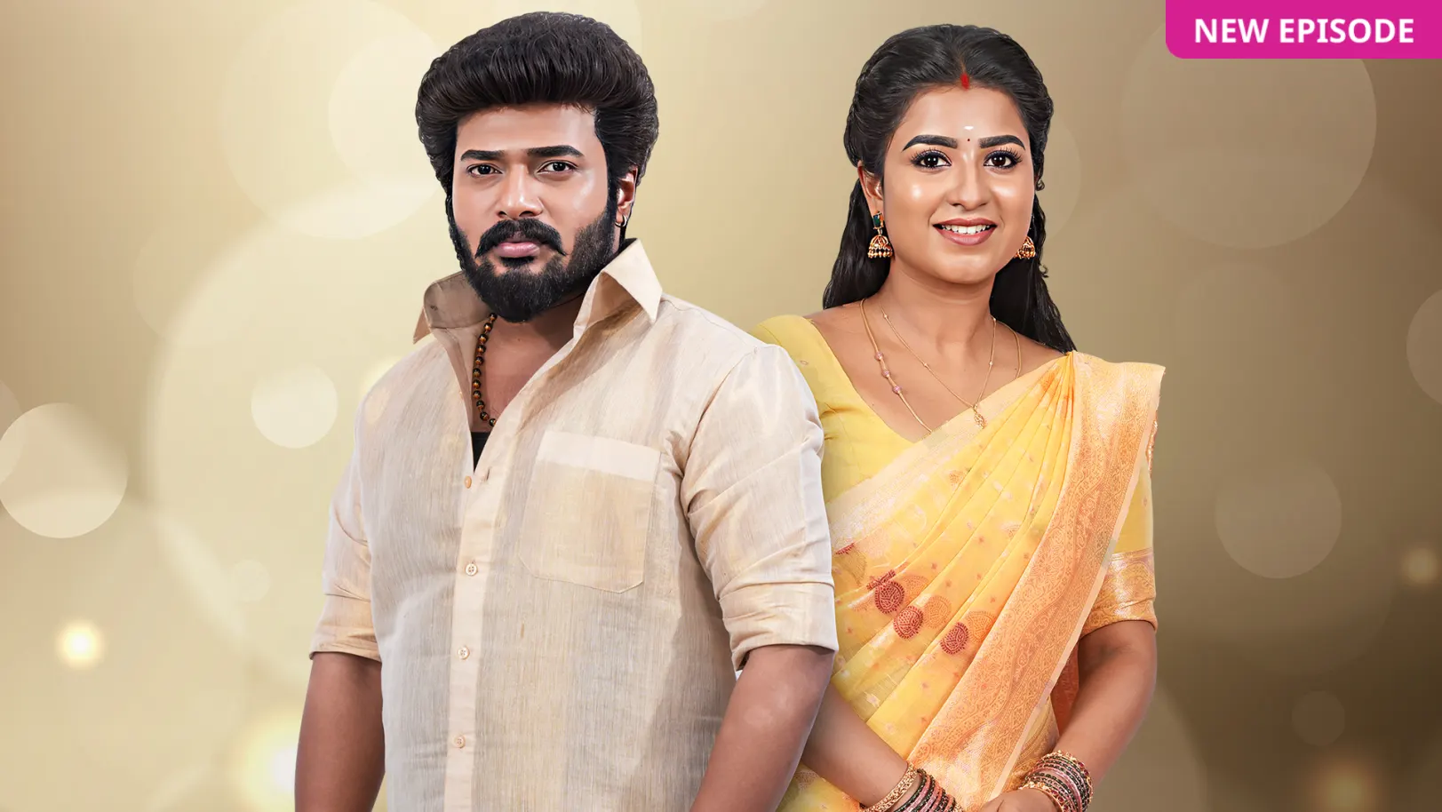 Karthigai Deepam TV Show