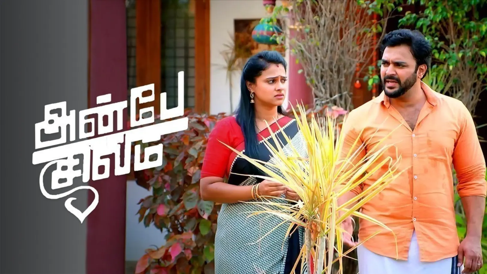 Anbe Sivam TV Show
