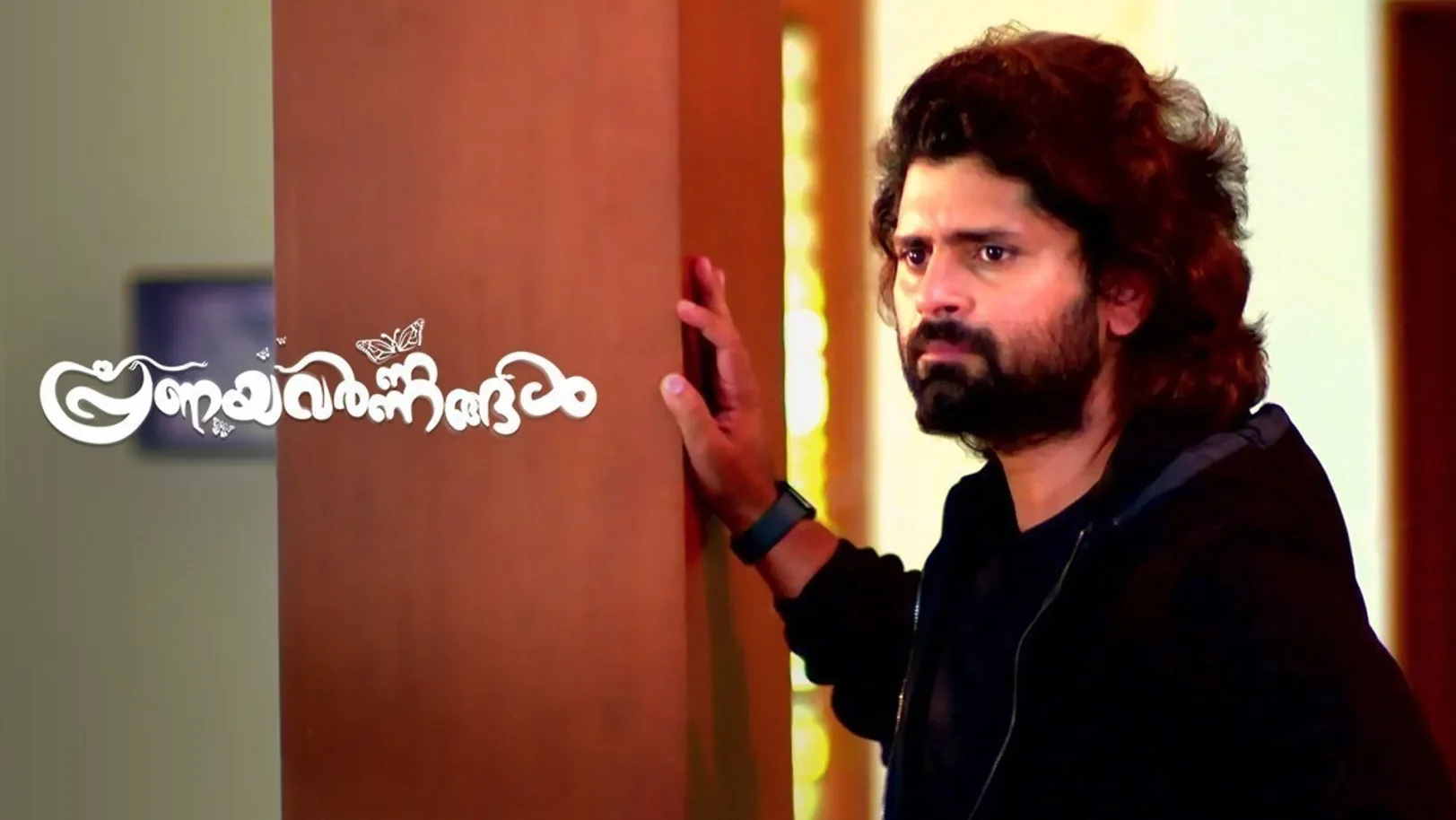 Pranayavarnangal TV Show