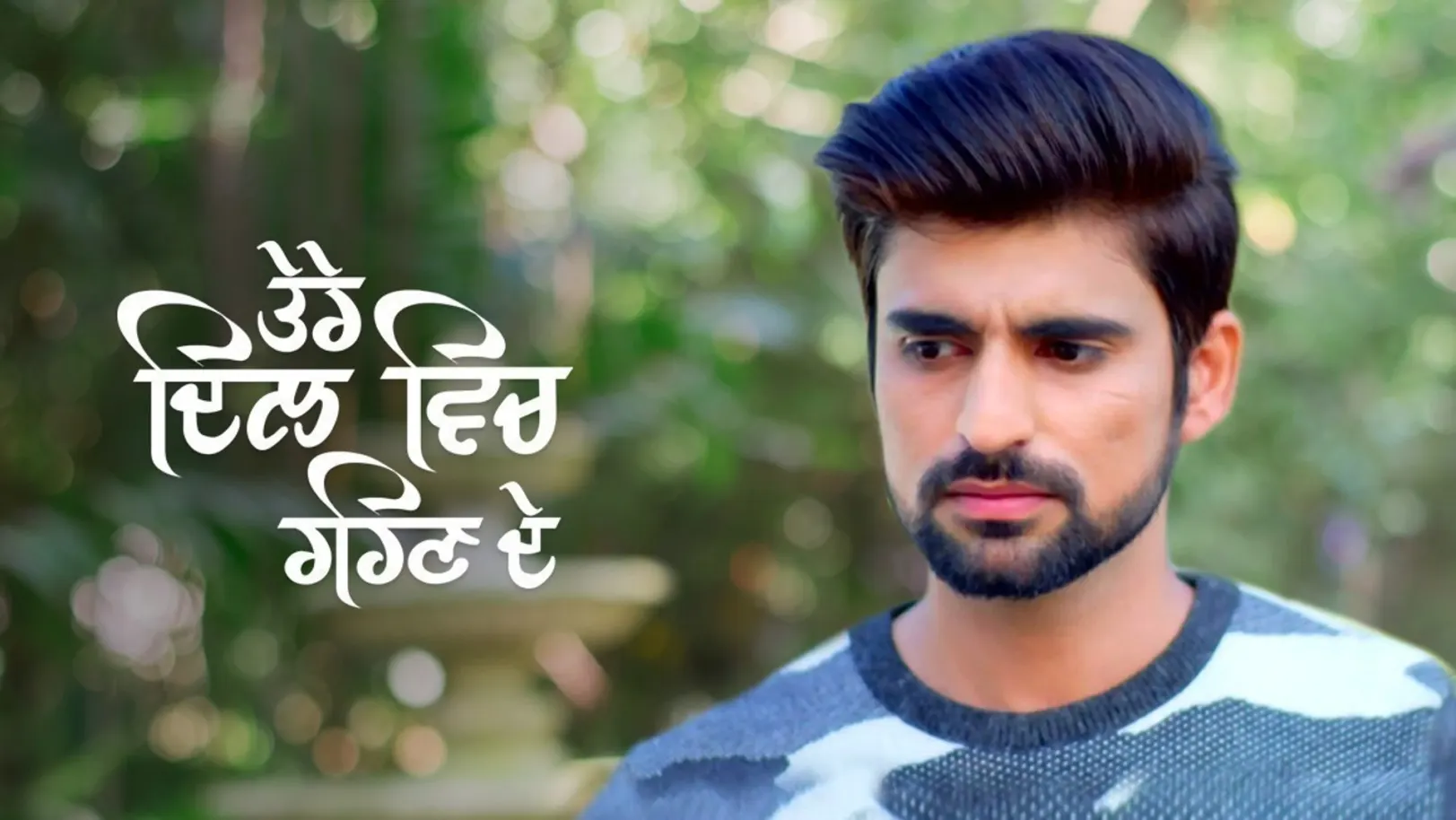 Tere Dil Vich Rehn De TV Show