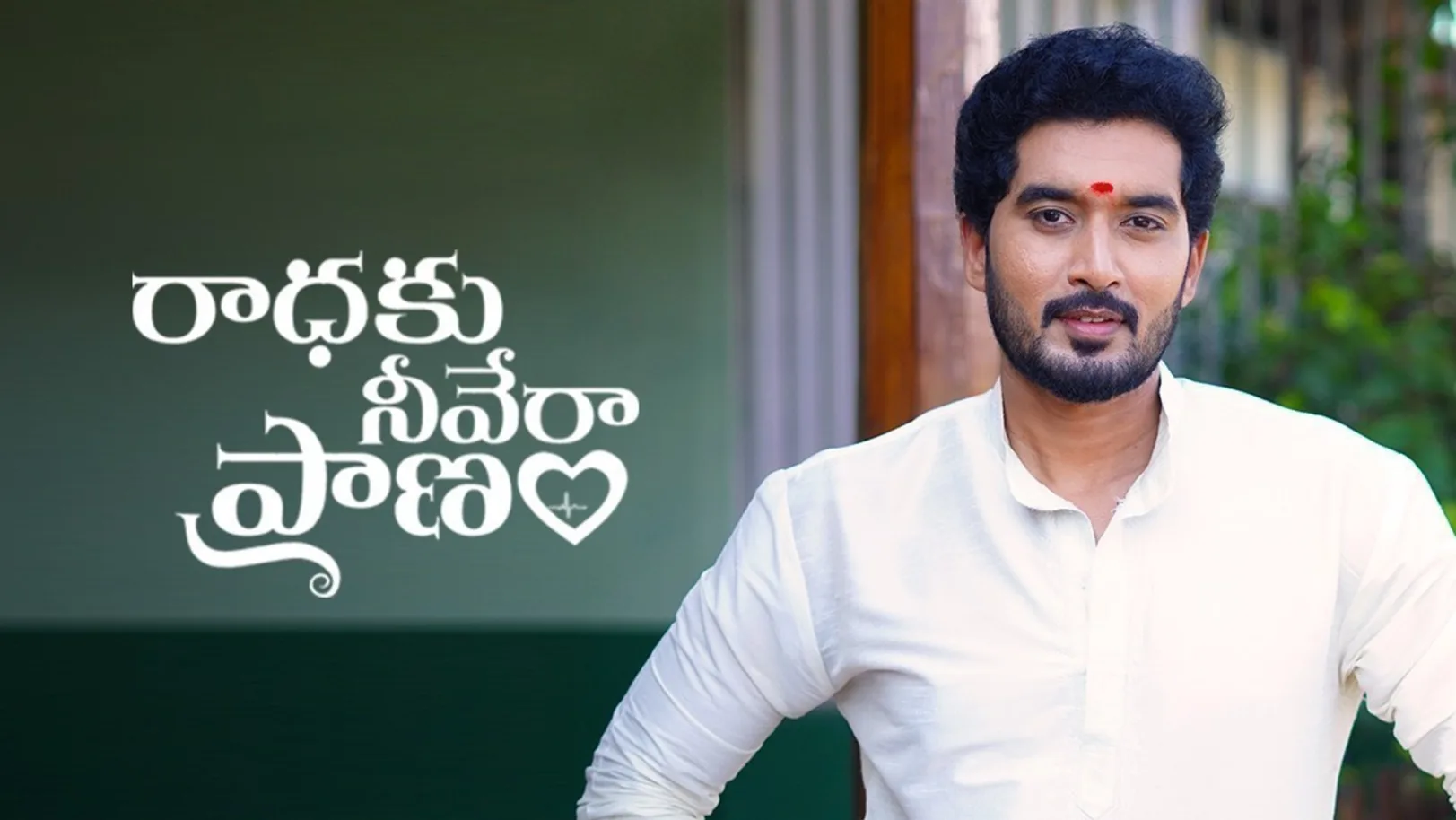 Radhaku Neevera Praanam TV Show
