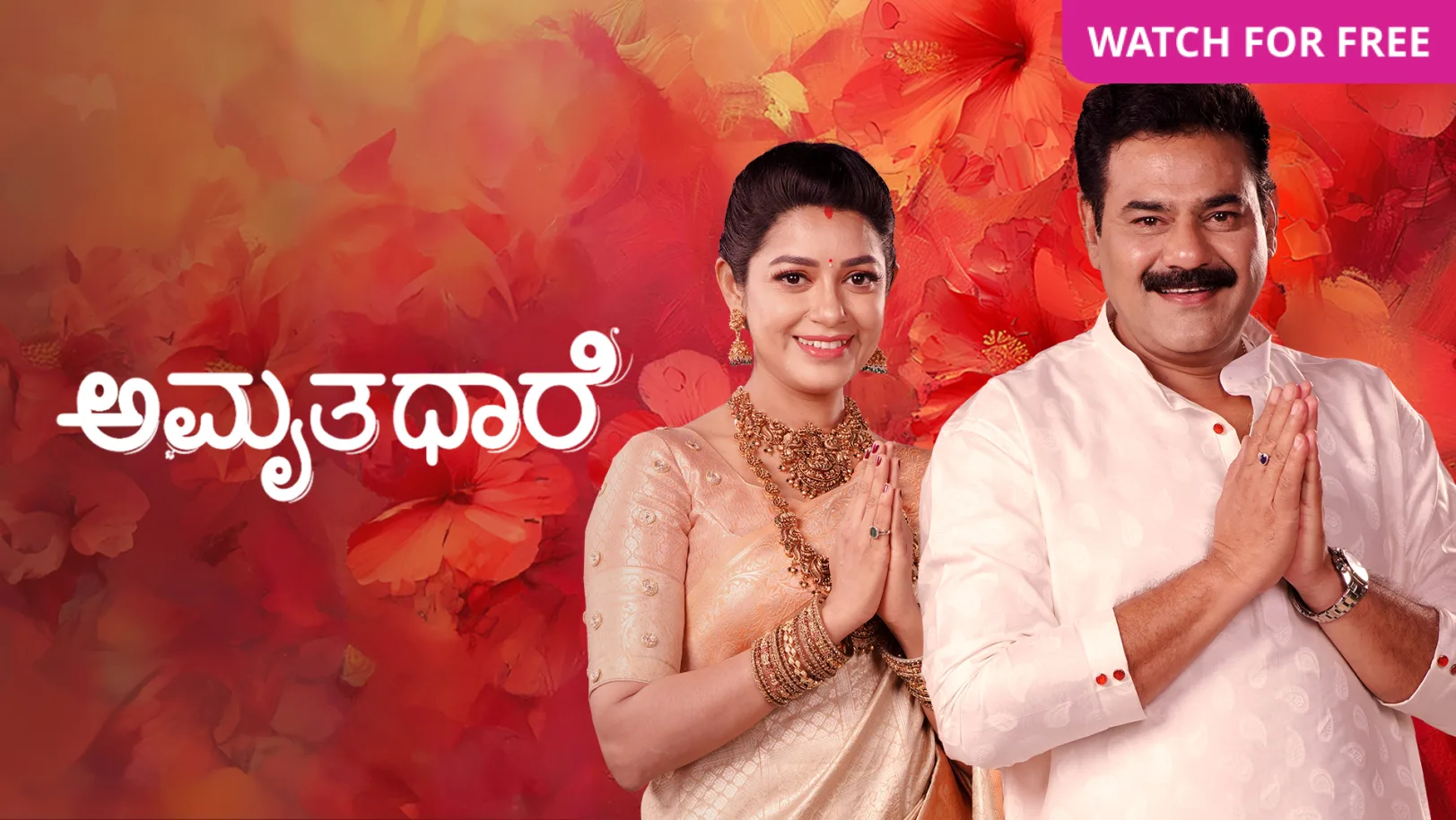 Amruthadhaare TV Show
