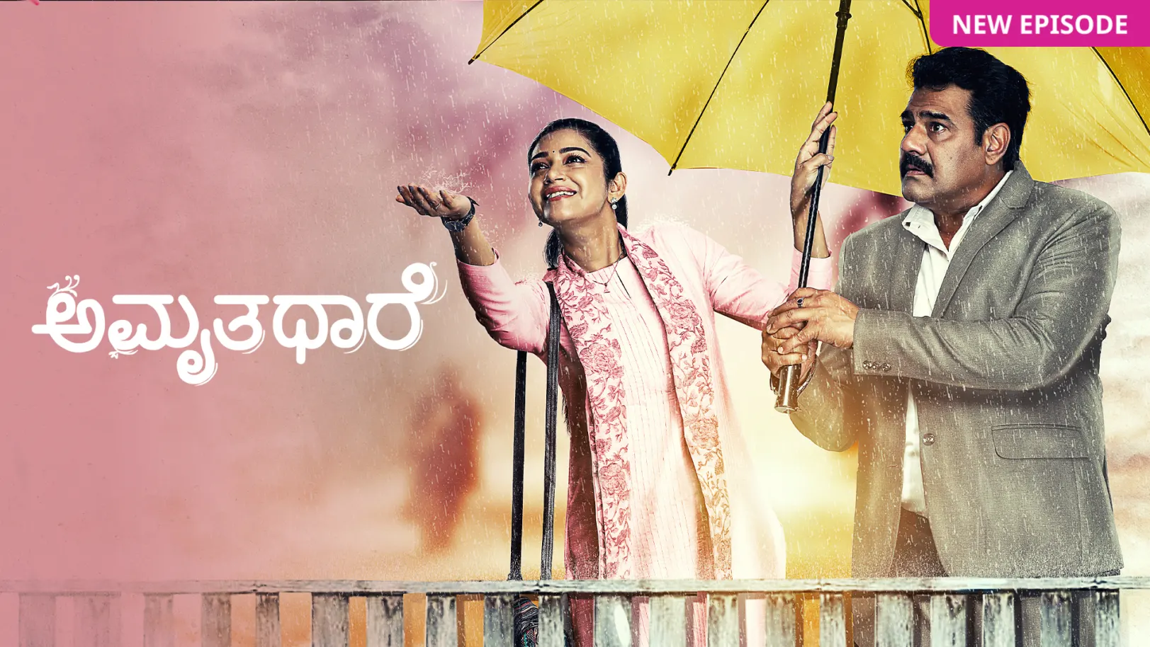 Amruthadhaare TV Show