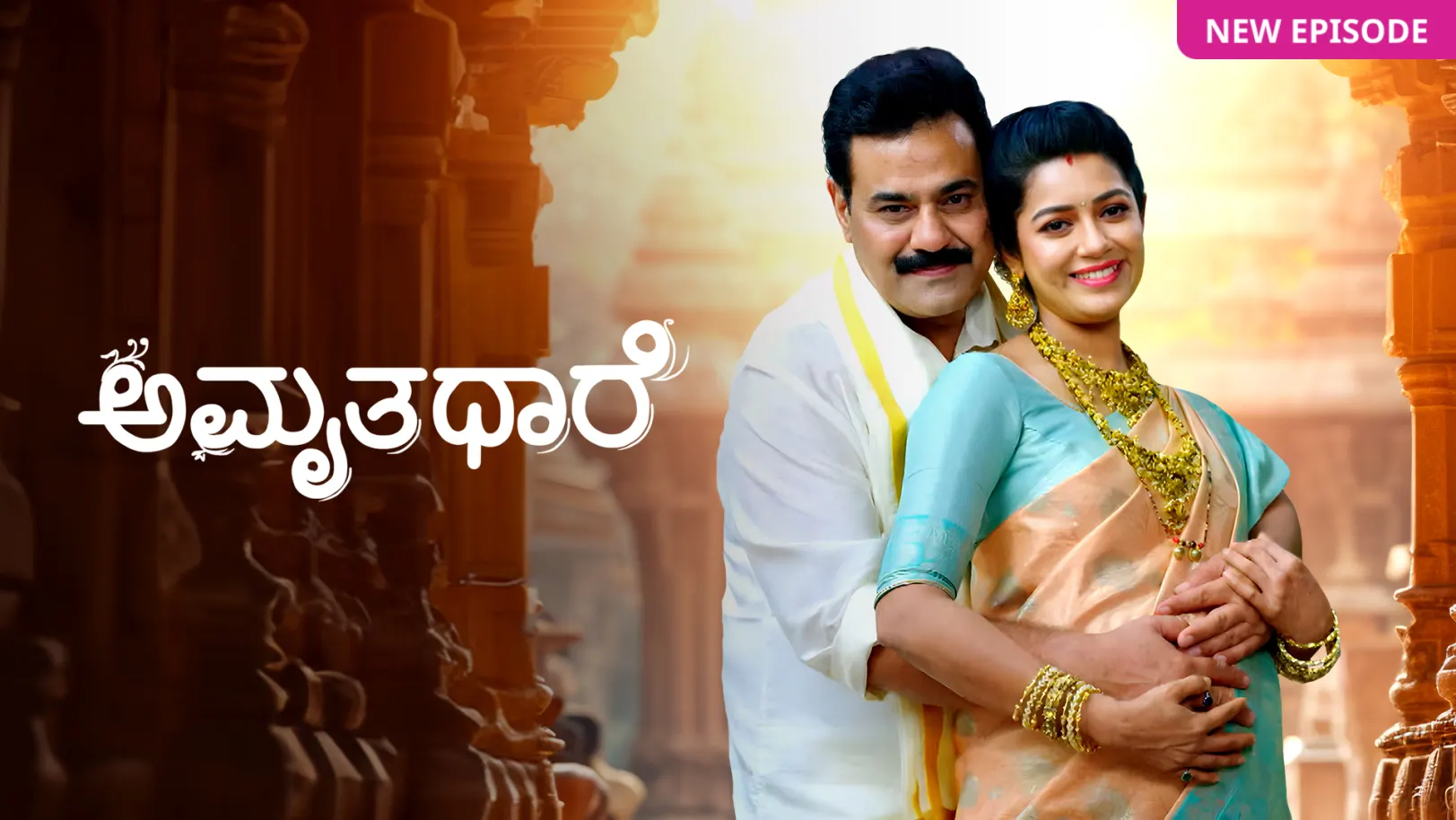 Amruthadhaare TV Show