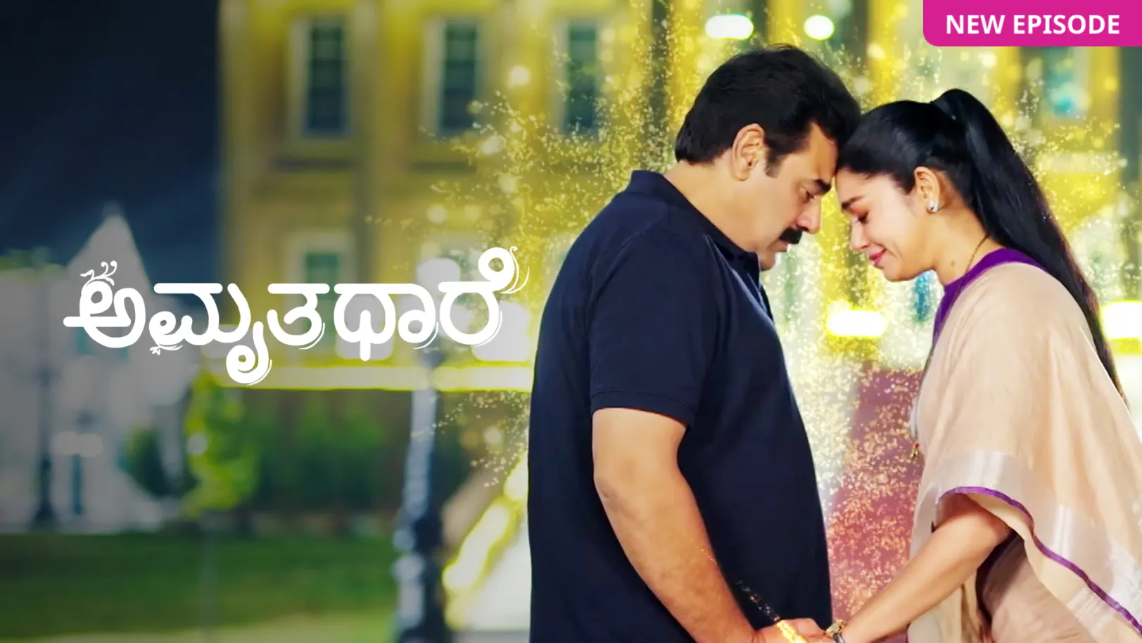 Amruthadhaare TV Show