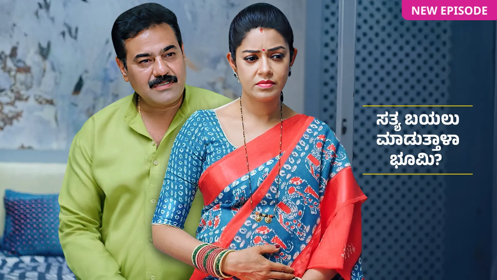 Amruthadhaare TV Show