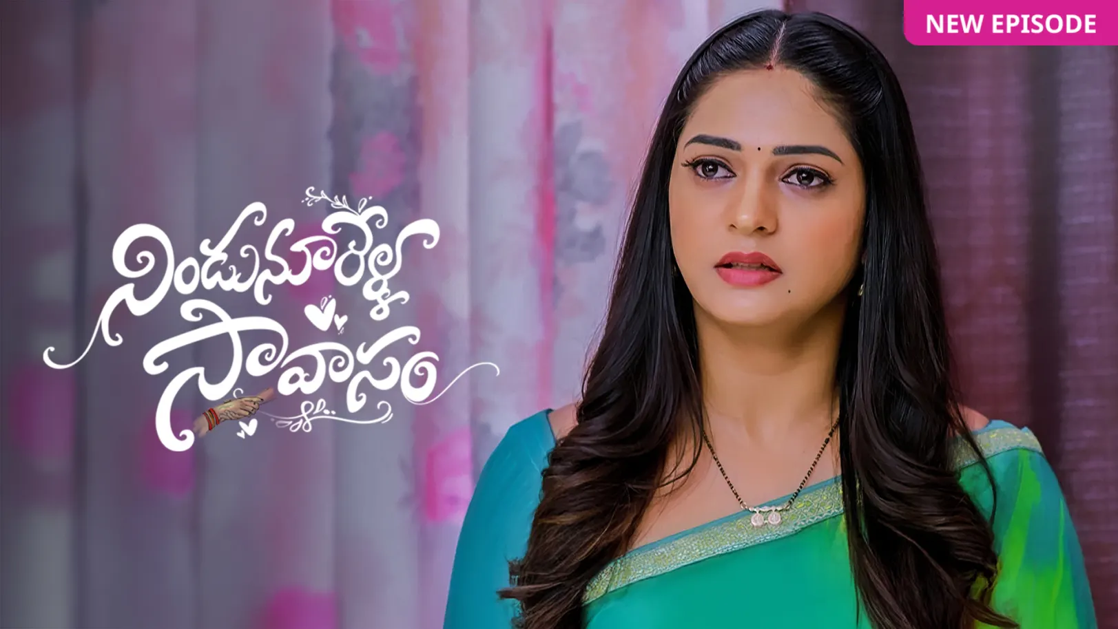 Nindu Noorella Saavasam TV Show