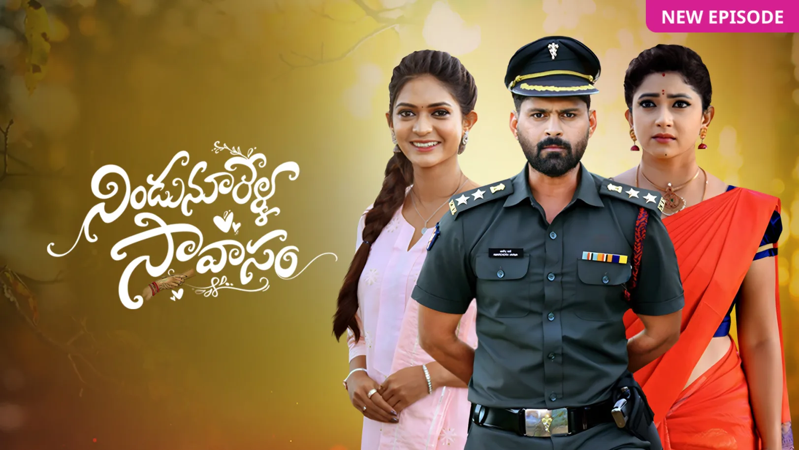 Nindu Noorella Saavasam TV Show