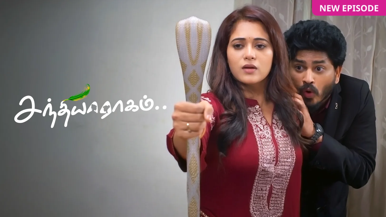 Sandhya Raagam TV Show