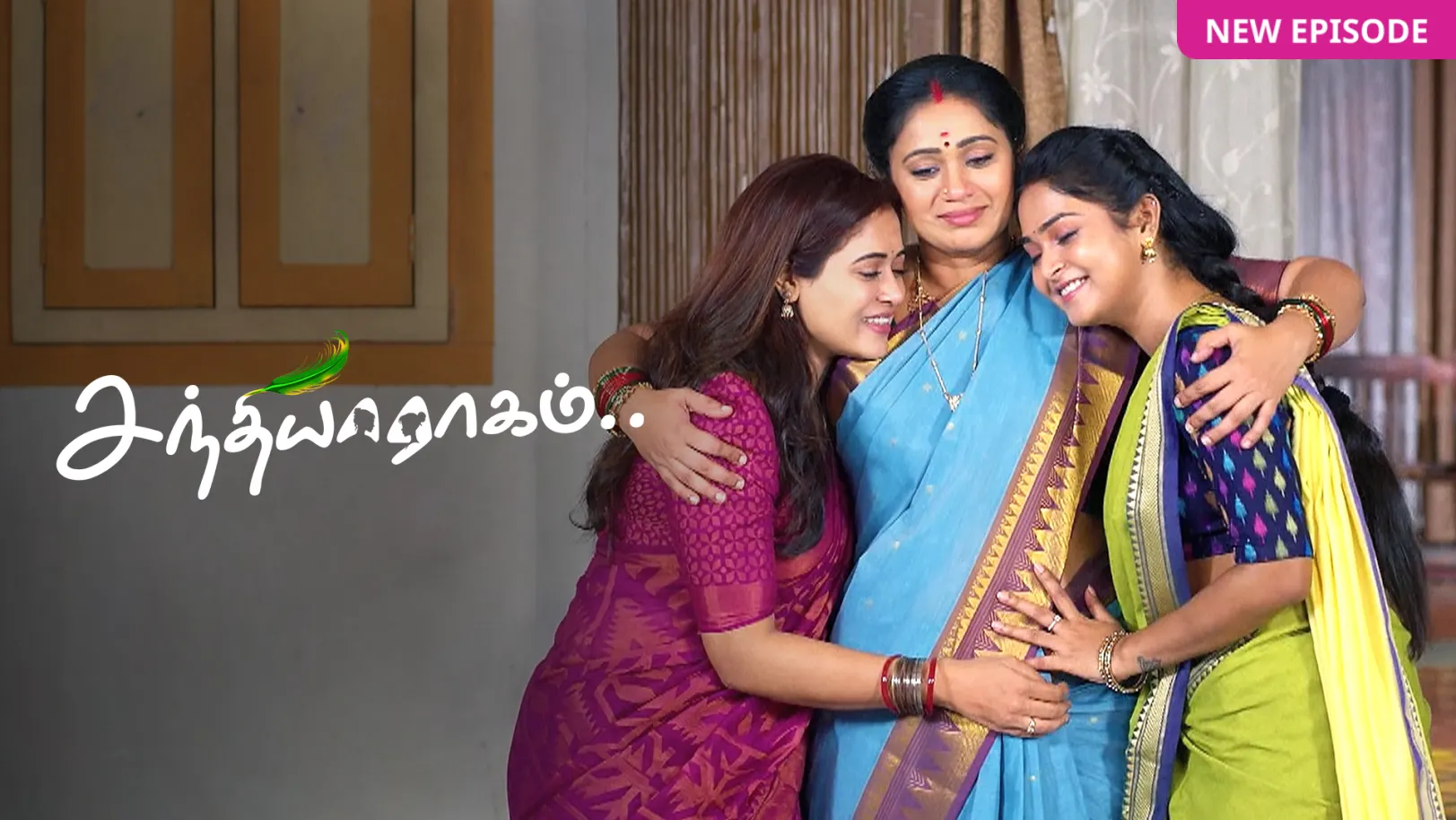 Sandhya Raagam TV Show