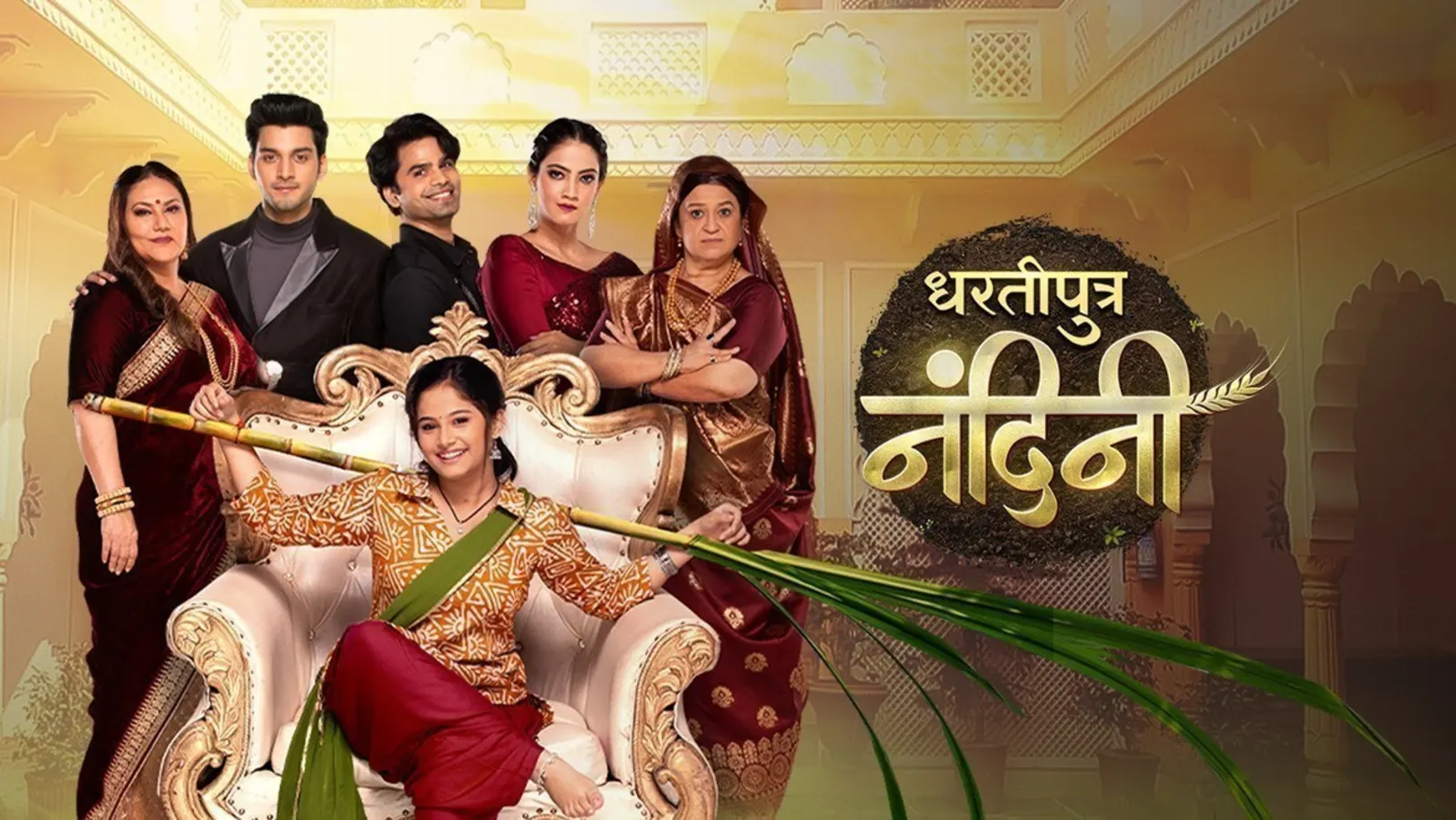 Dhartiputra Nandini TV Show