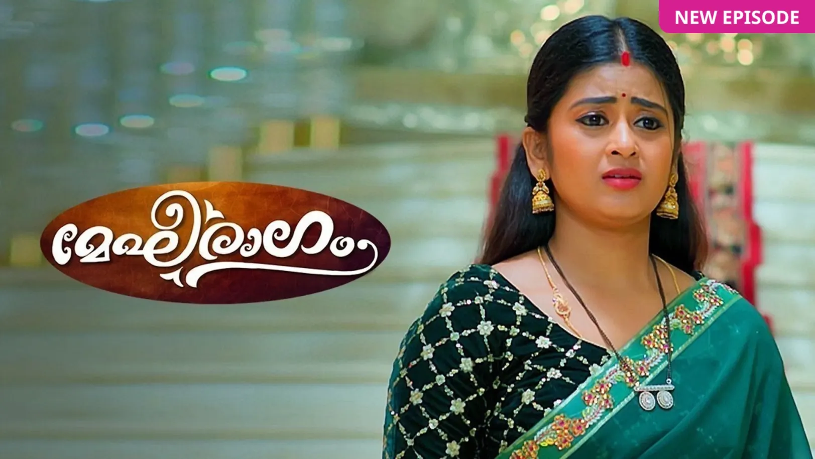 Megharagam TV Show