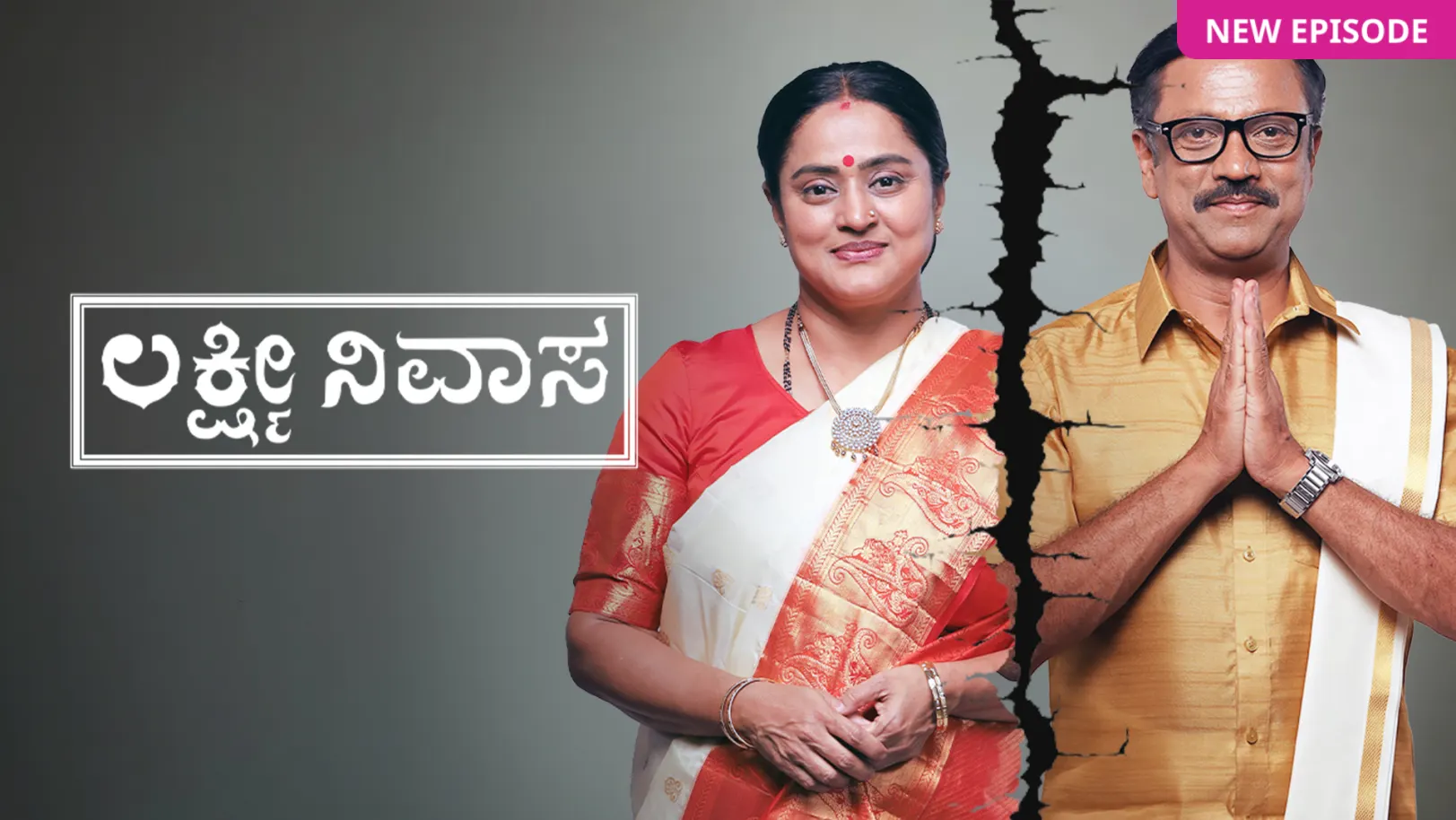 Lakshmi Nivasa TV Show