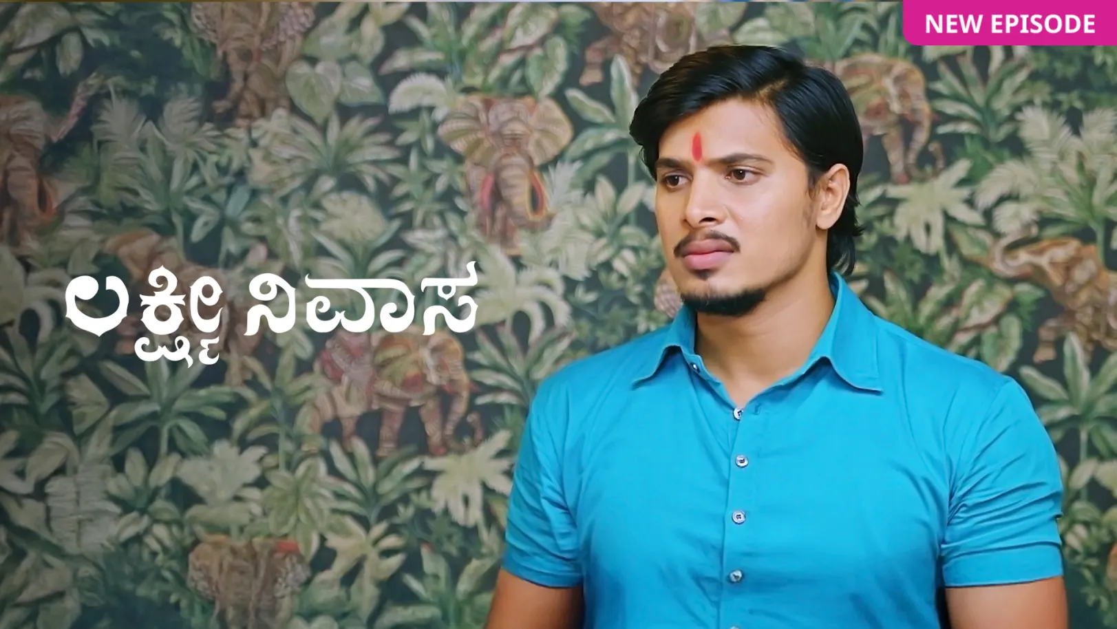 Lakshmi Nivasa TV Show