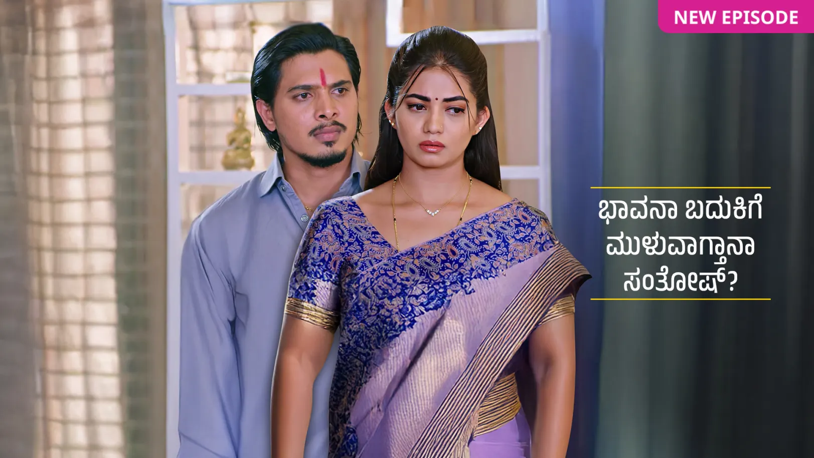 Lakshmi Nivasa TV Show