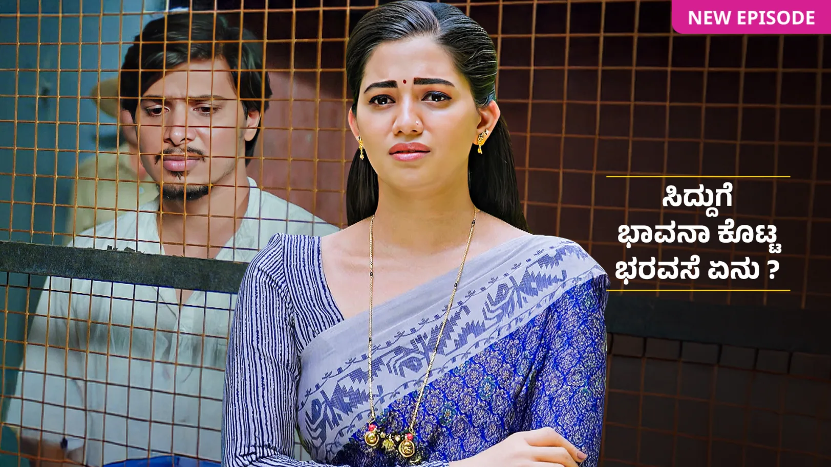 Lakshmi Nivasa TV Show