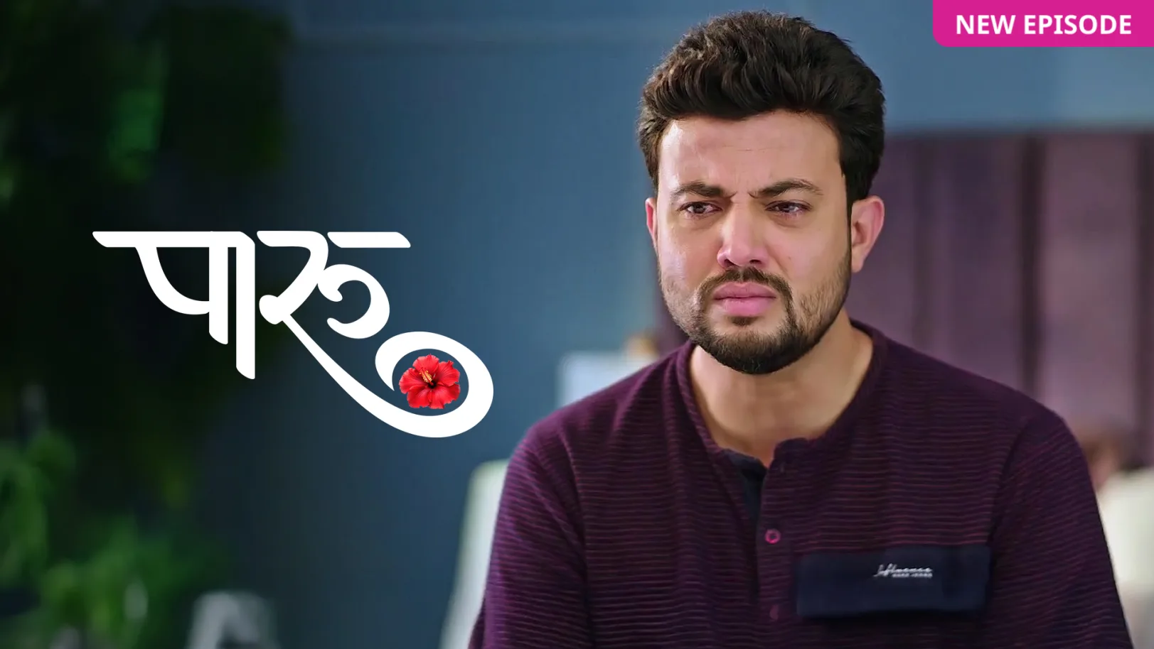 Paaru TV Show
