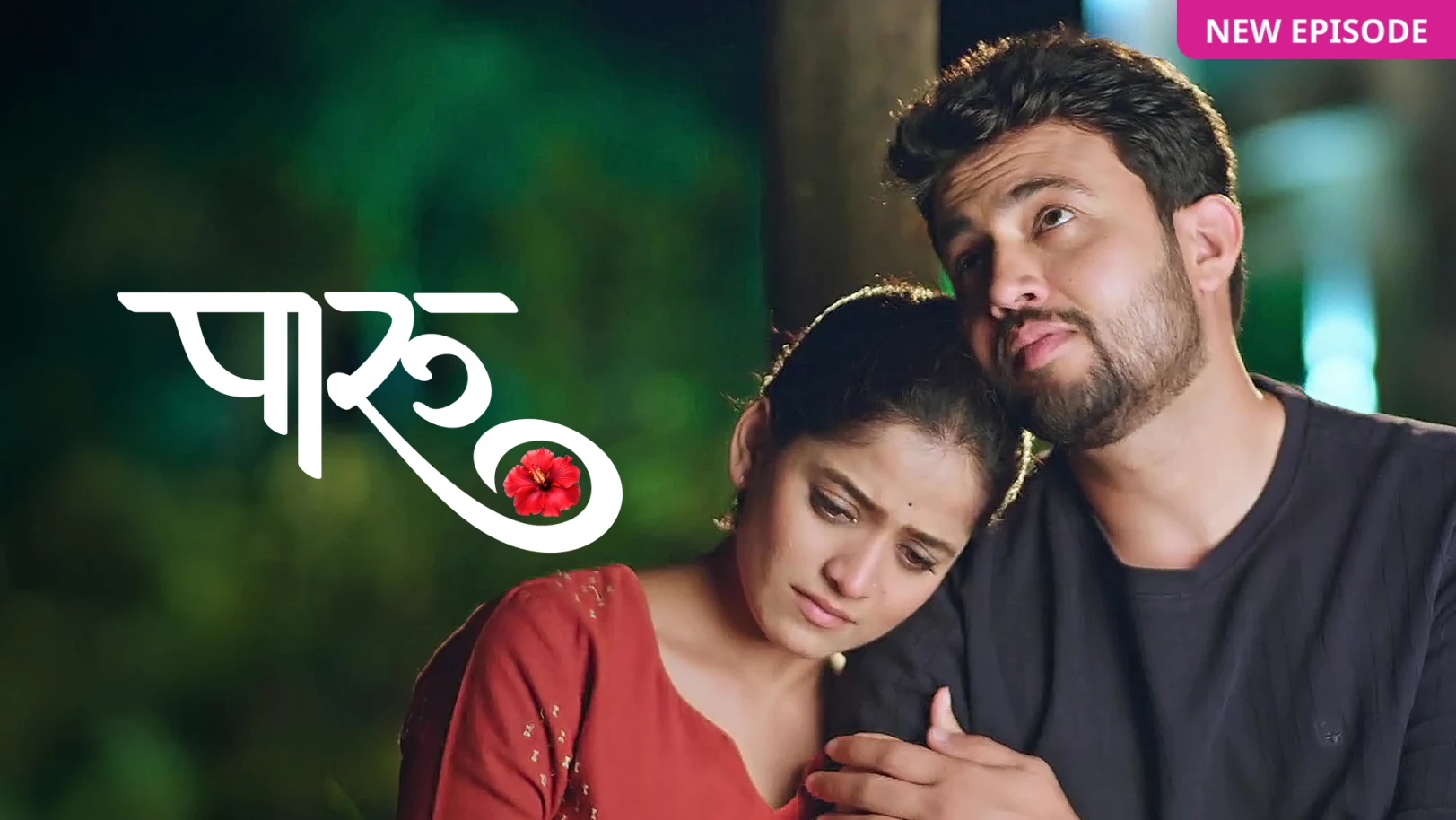 Paaru TV Show