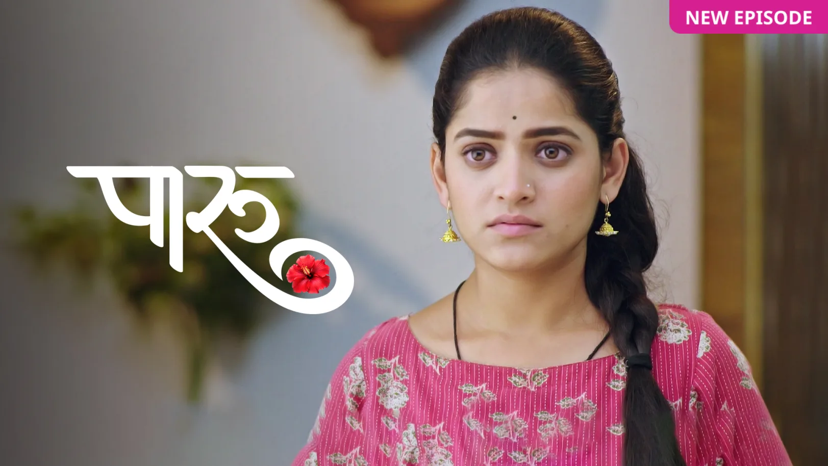 Paaru TV Show