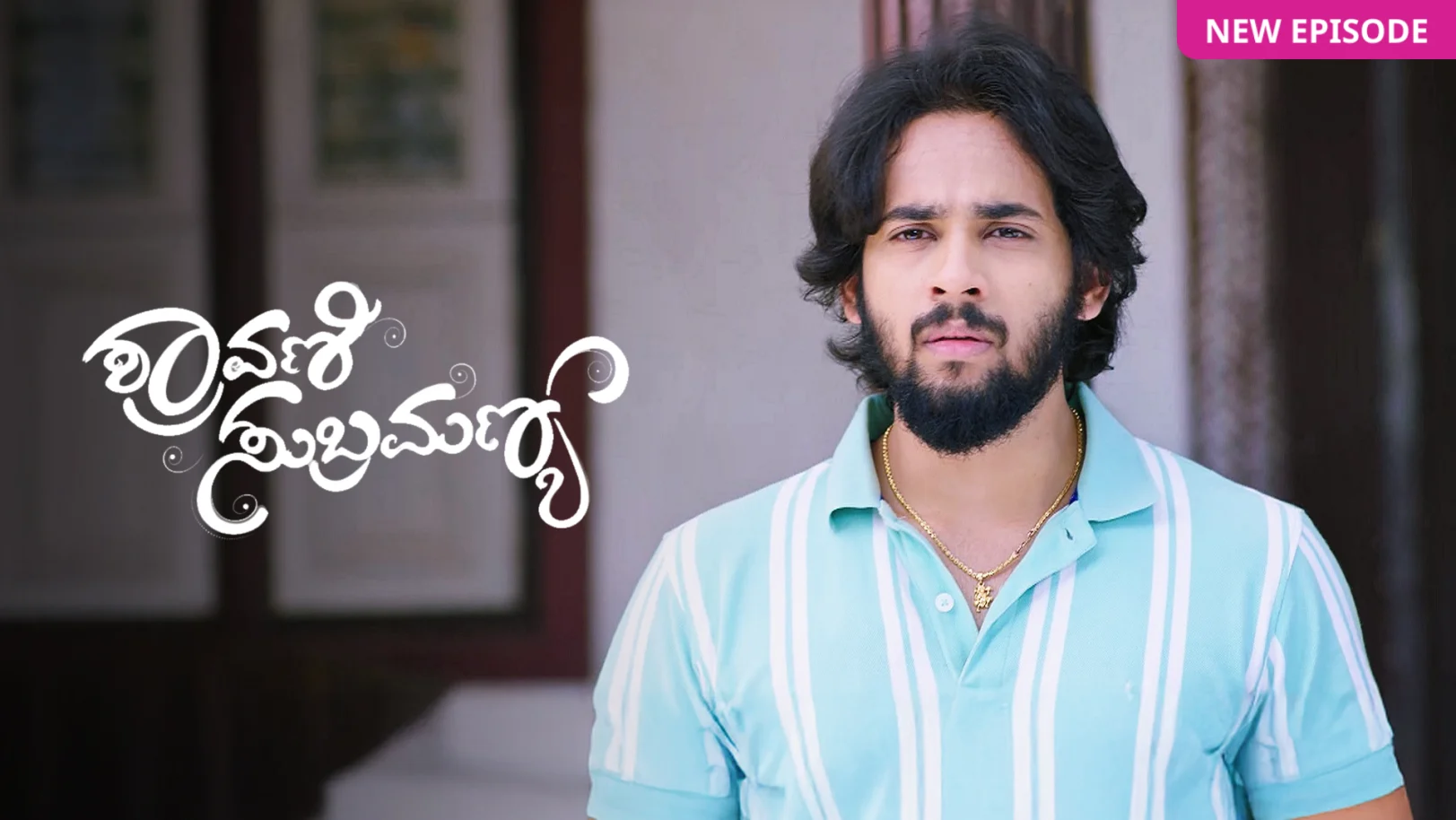 Shravani Subramanya TV Show