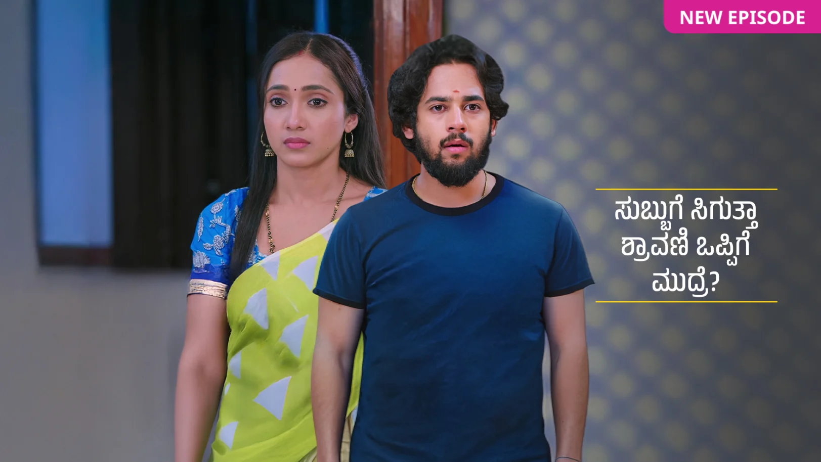 Shravani Subramanya TV Show