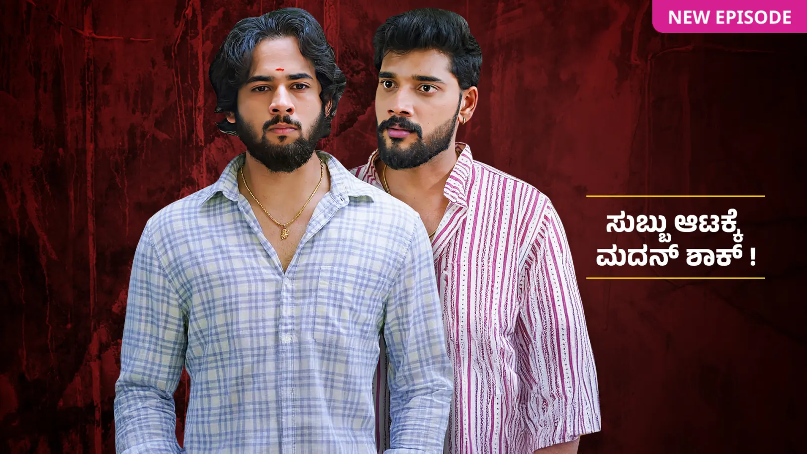 Shravani Subramanya TV Show
