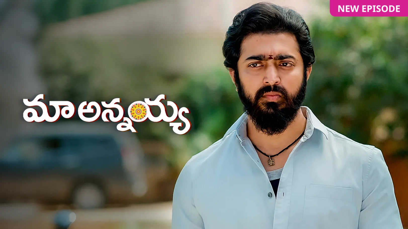 Maa Annayya TV Show