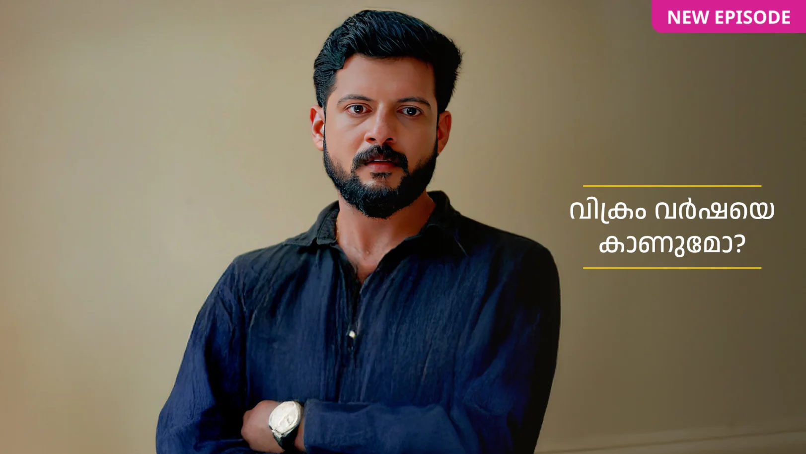Manathe Kottaram TV Show