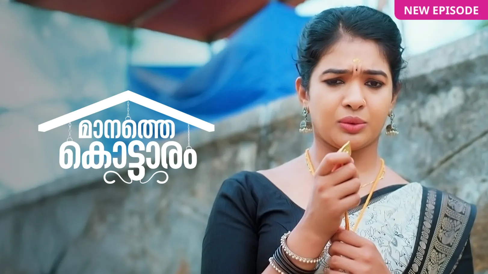 Manathe Kottaram TV Show