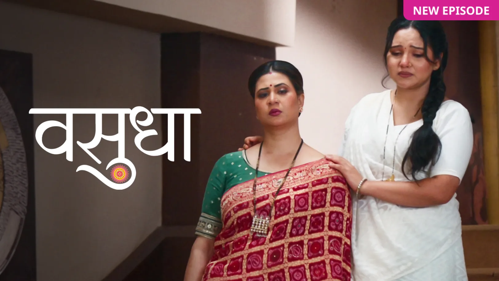 Vasudha TV Show
