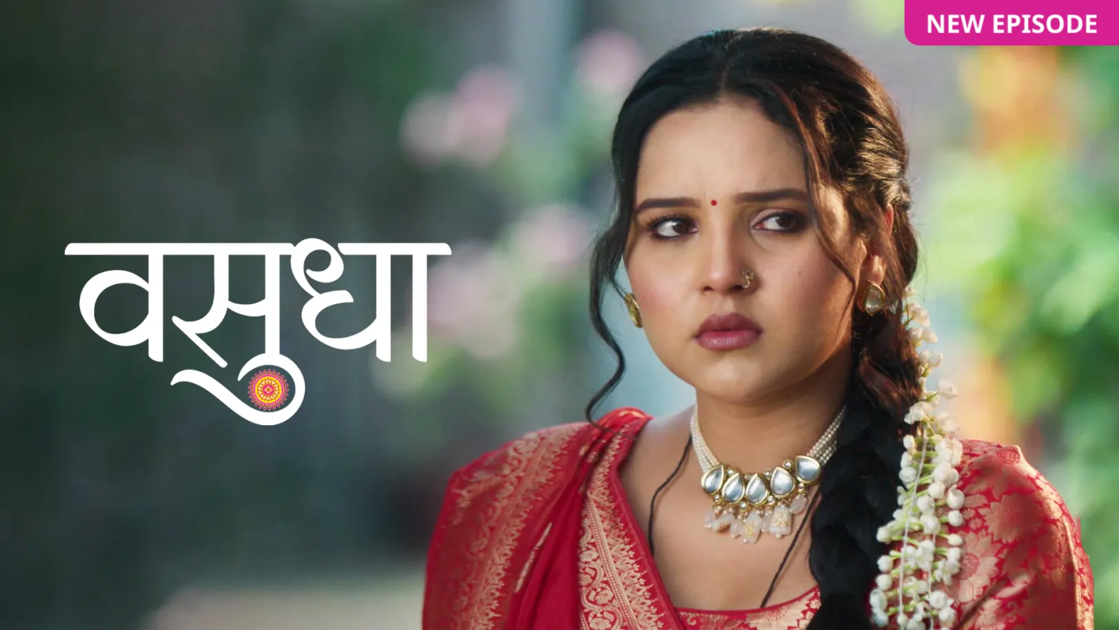 Vasudha TV Show