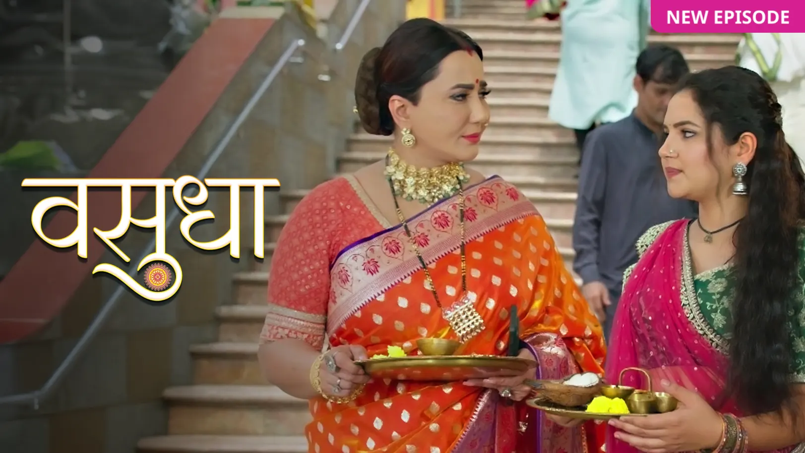 Vasudha TV Show