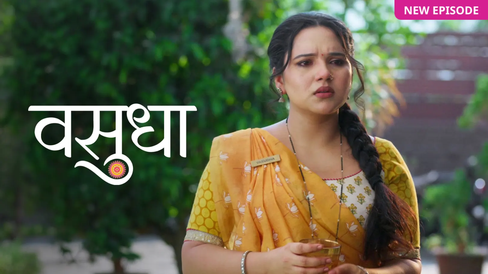 Vasudha TV Show