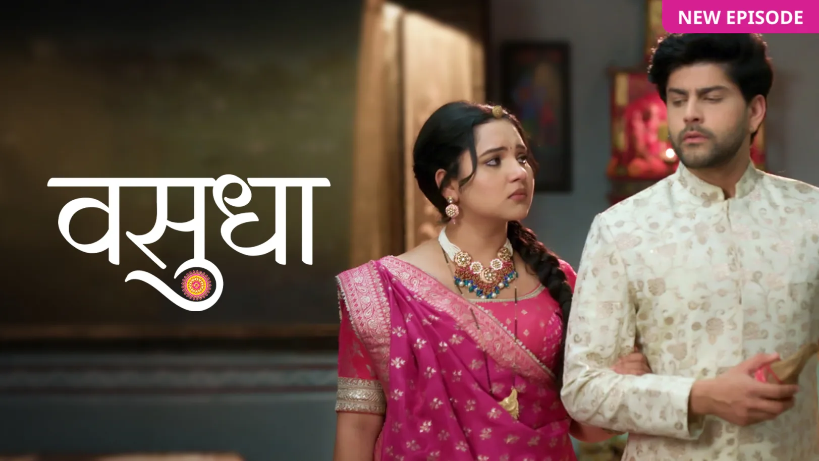 Vasudha TV Show