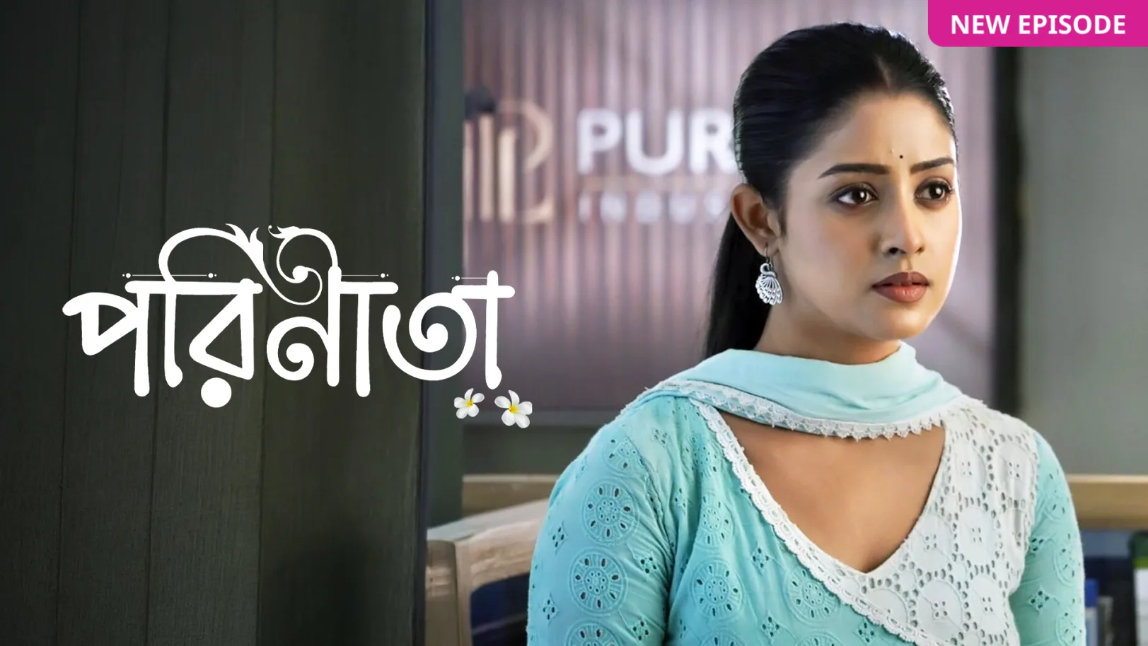 Parineeta TV Show