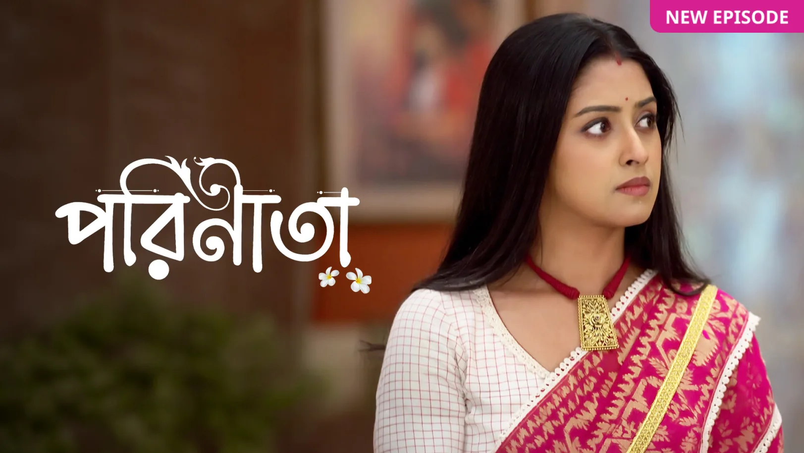 Parineeta TV Show