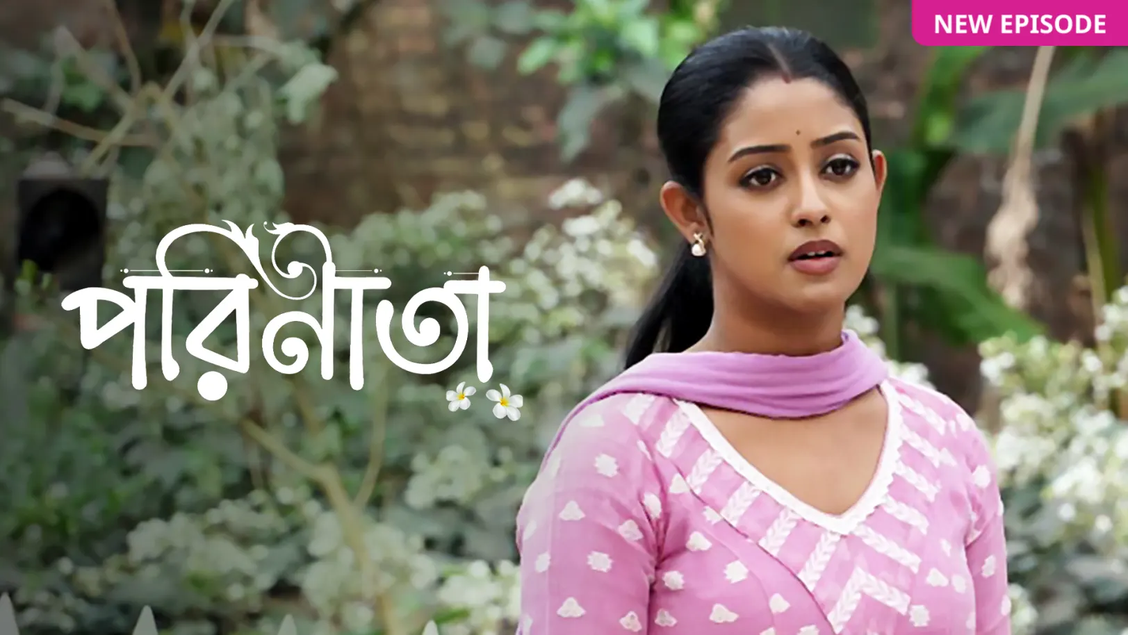 Parineeta TV Show