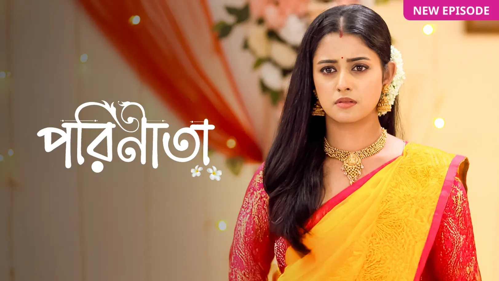 Parineeta TV Show