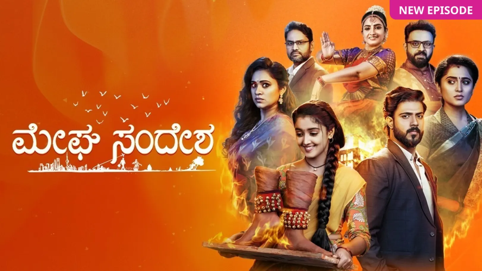 Meghasandesha TV Show