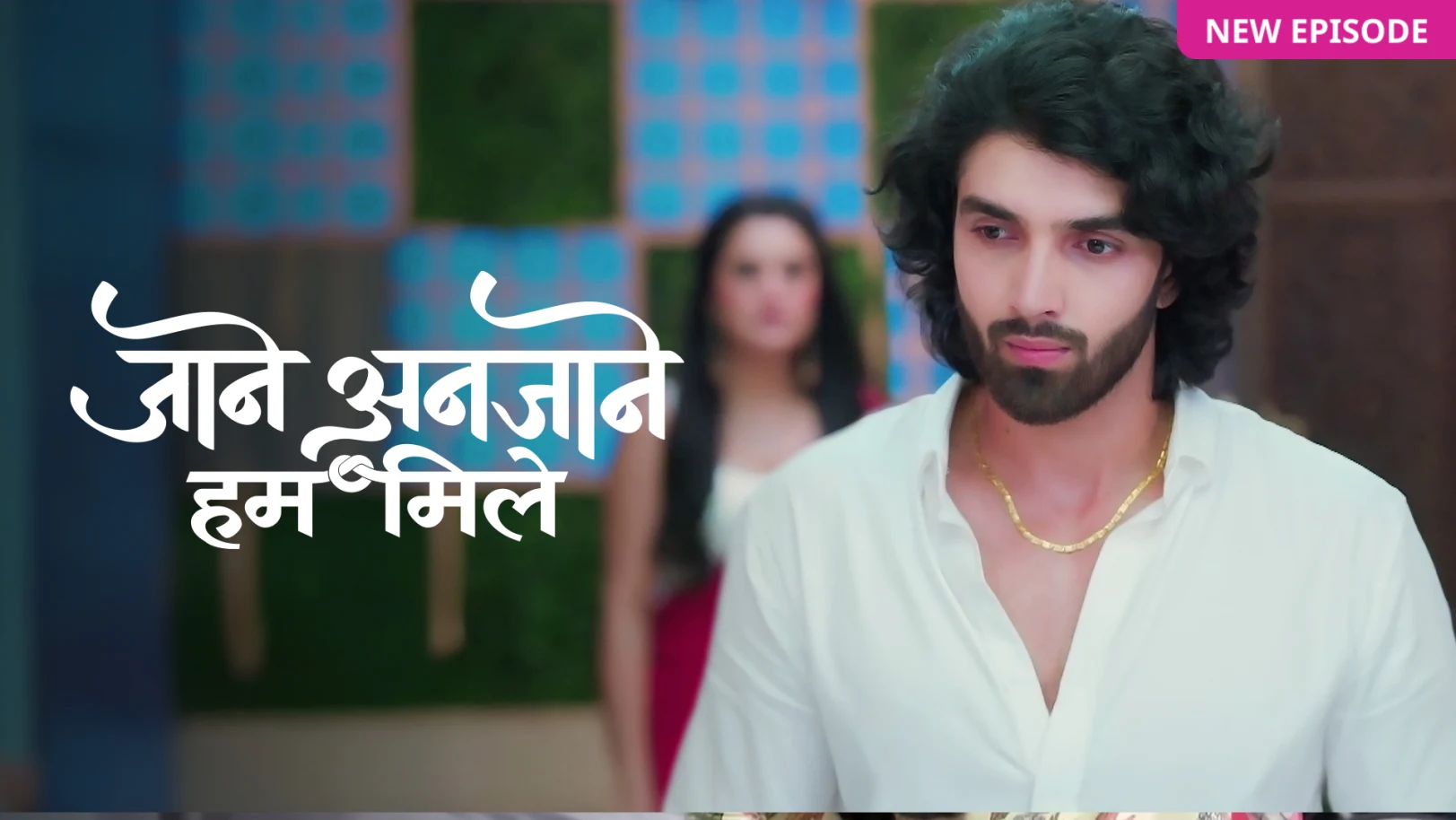 Jaane Anjaane Hum Mile TV Show
