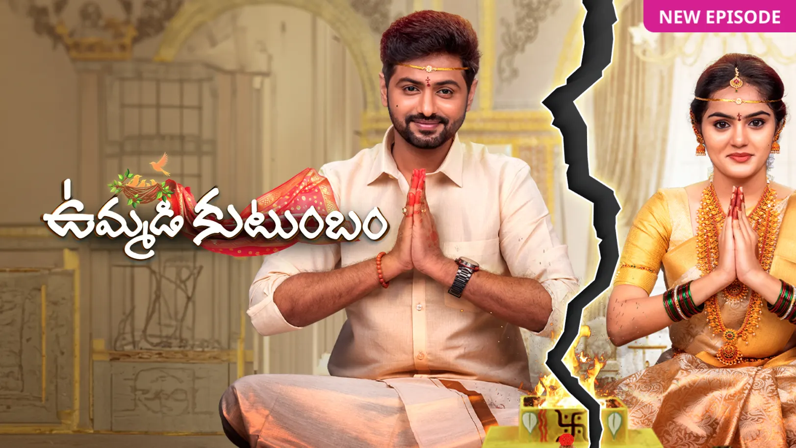 Ummadi Kutumbam TV Show
